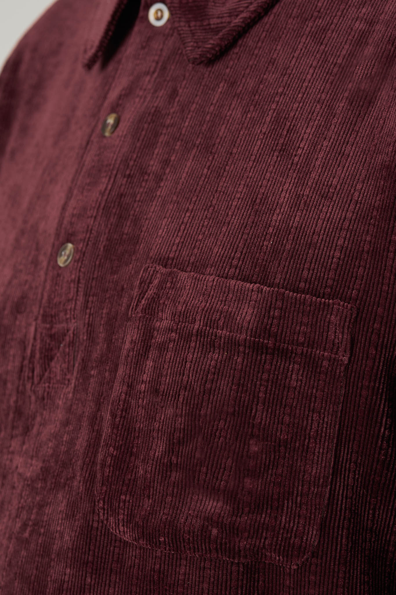 Polo Thomas - Bourgogne